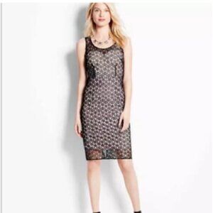 Ann Taylor Black Lace Sheath Cocktail Day to Night Dress NEW NWT 8